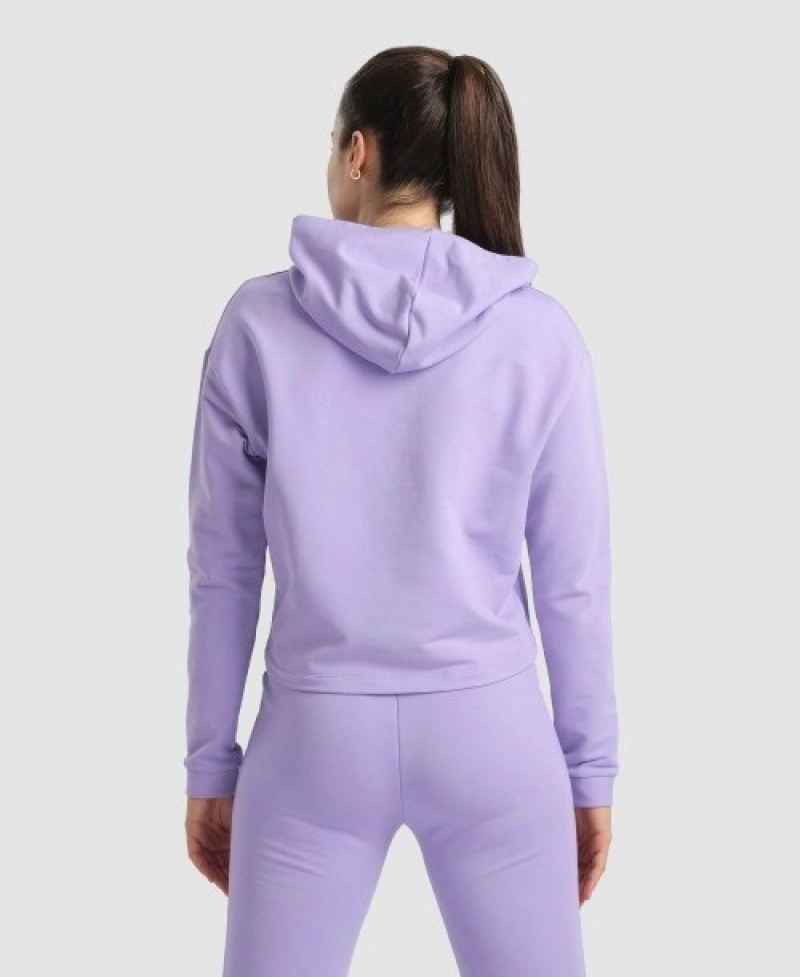 Purple Arena Hooded Fleece Women's Sweatshirts | 63556811