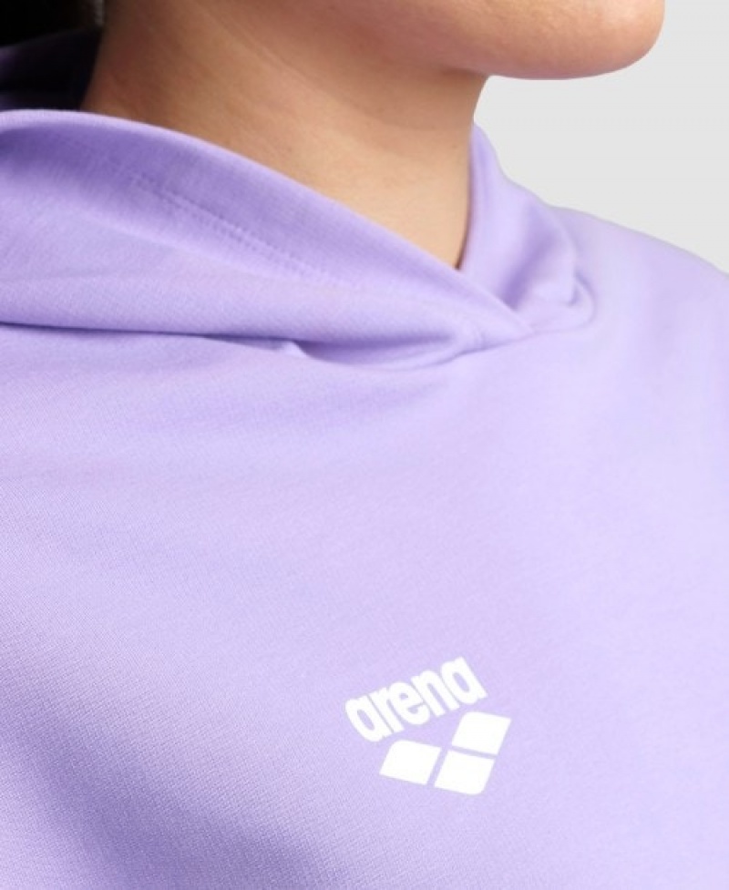 Purple Arena Hooded Fleece Women's Sweatshirts | 63556811