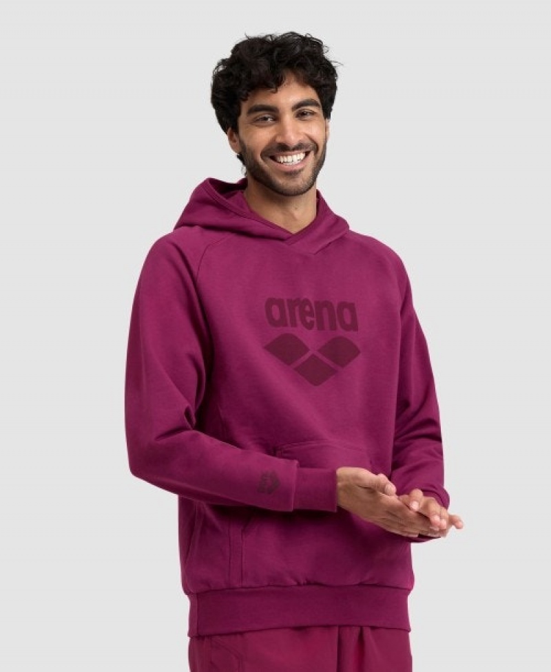 Purple Arena Logo Hooded Men's Sweatshirts | 47475879