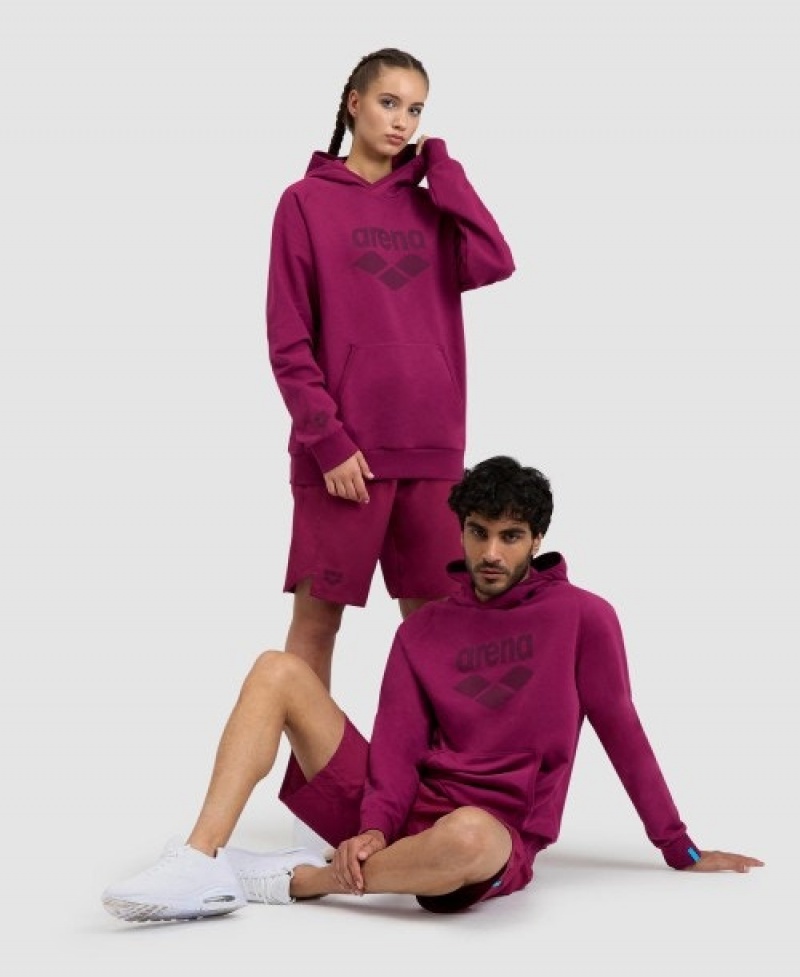 Purple Arena Logo Hooded Men's Sweatshirts | 47475879