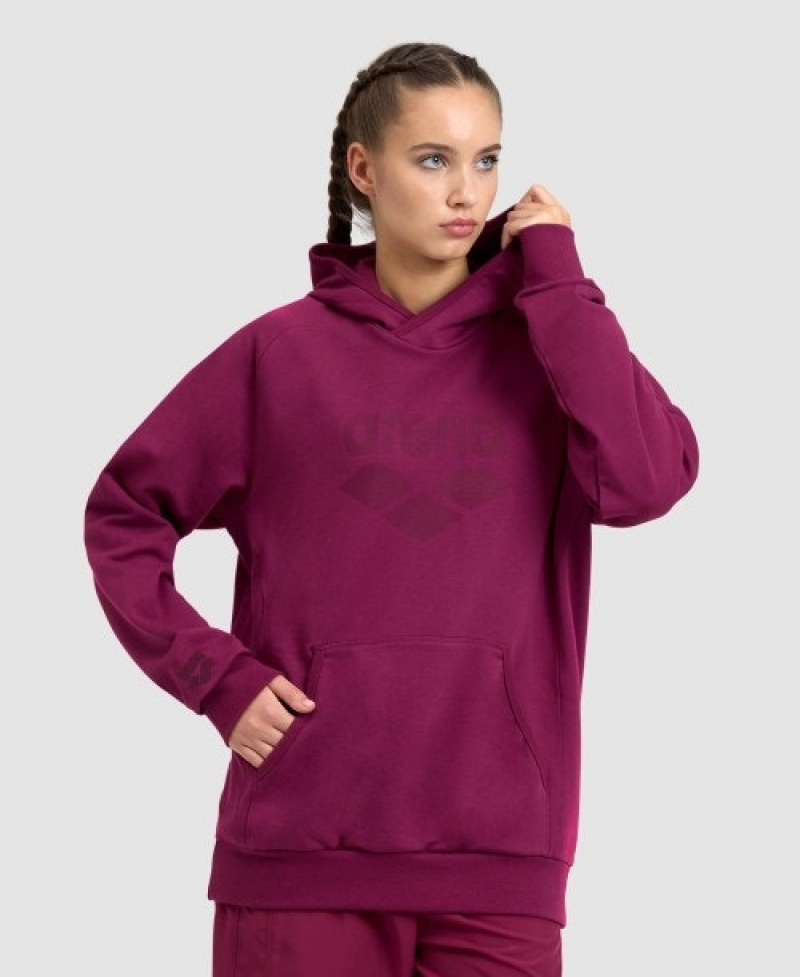 Purple Arena Logo Hooded Men's Sweatshirts | 47475879