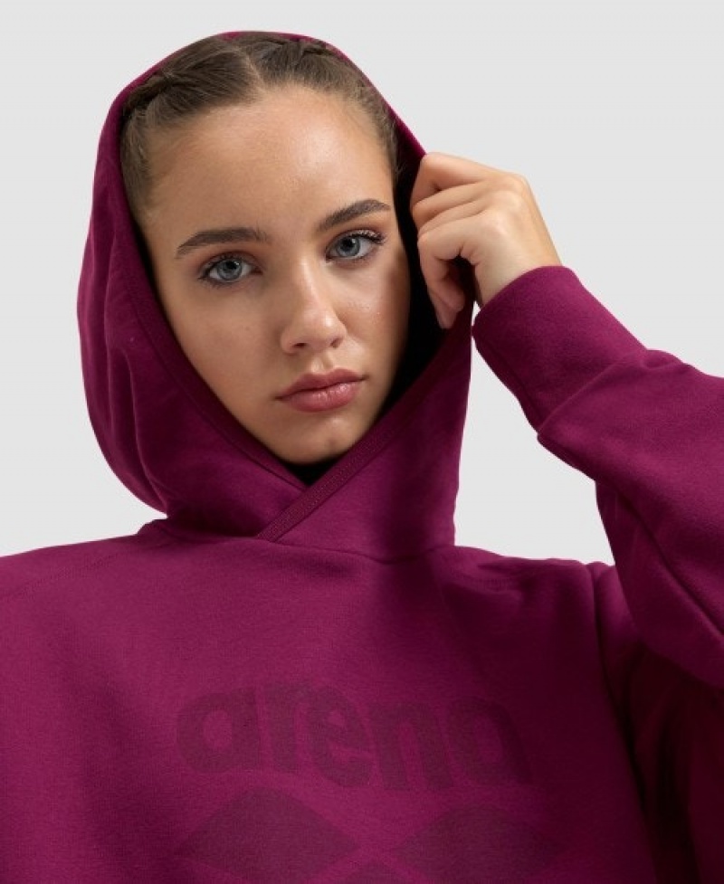 Purple Arena Logo Hooded Women's Sweatshirts | 70037959