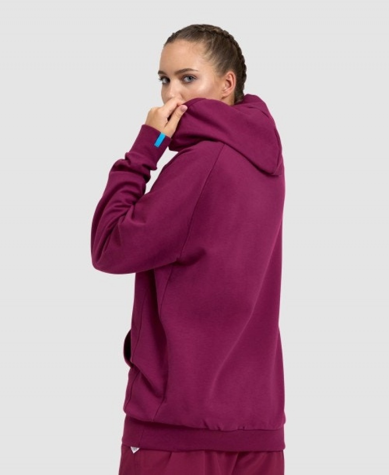 Purple Arena Logo Hooded Women's Sweatshirts | 70037959