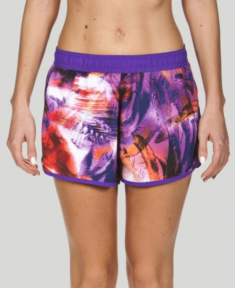 Purple Arena Palms Sport Women's Shorts | 24851619