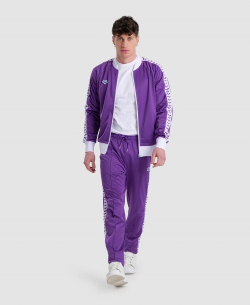 Purple Arena Relax Iv Team Men's Pants | 73557890