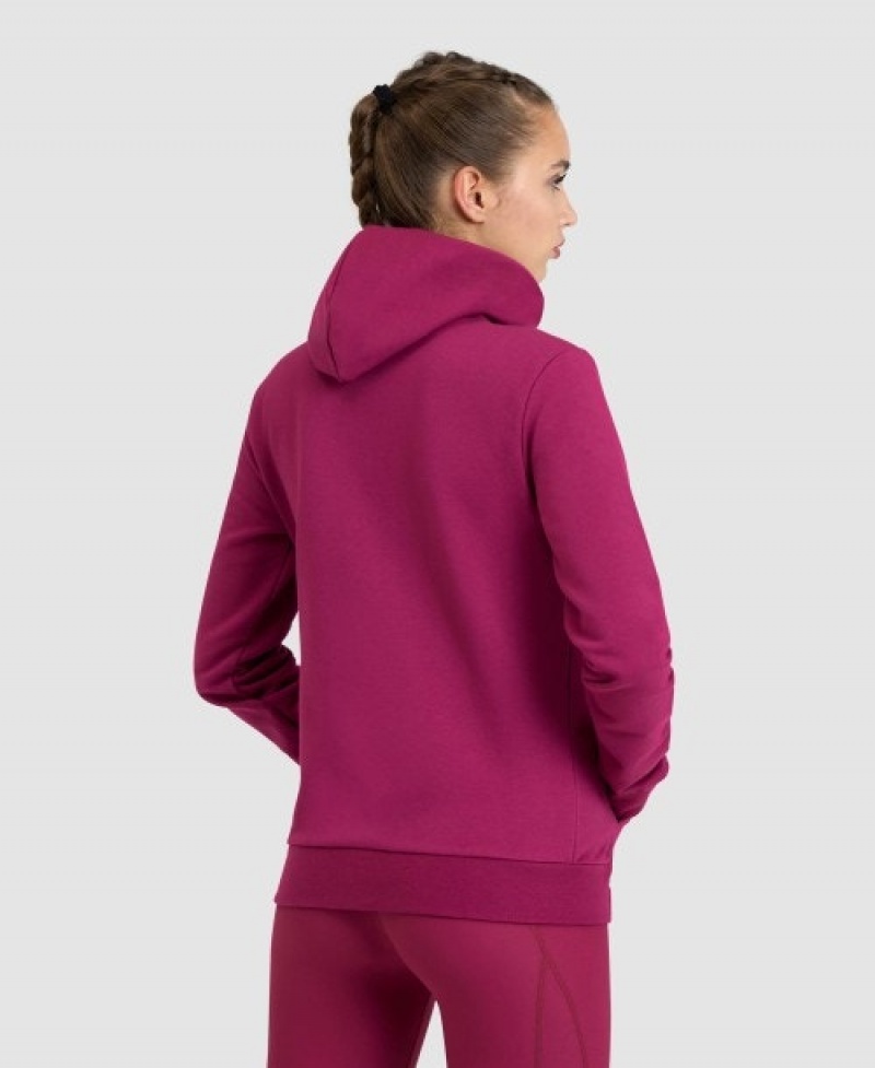 Purple Arena Team Hooded Panel Women's Jackets | 56534220