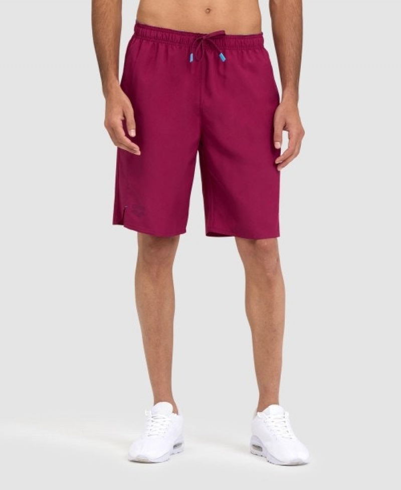 Purple Arena Team Men's Shorts | 39977239