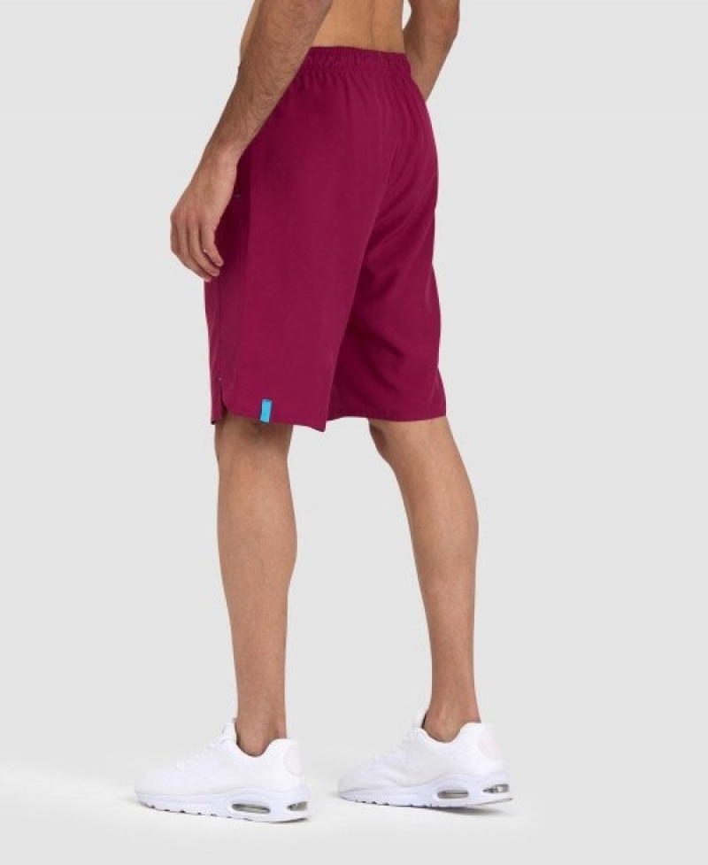 Purple Arena Team Men's Shorts | 39977239