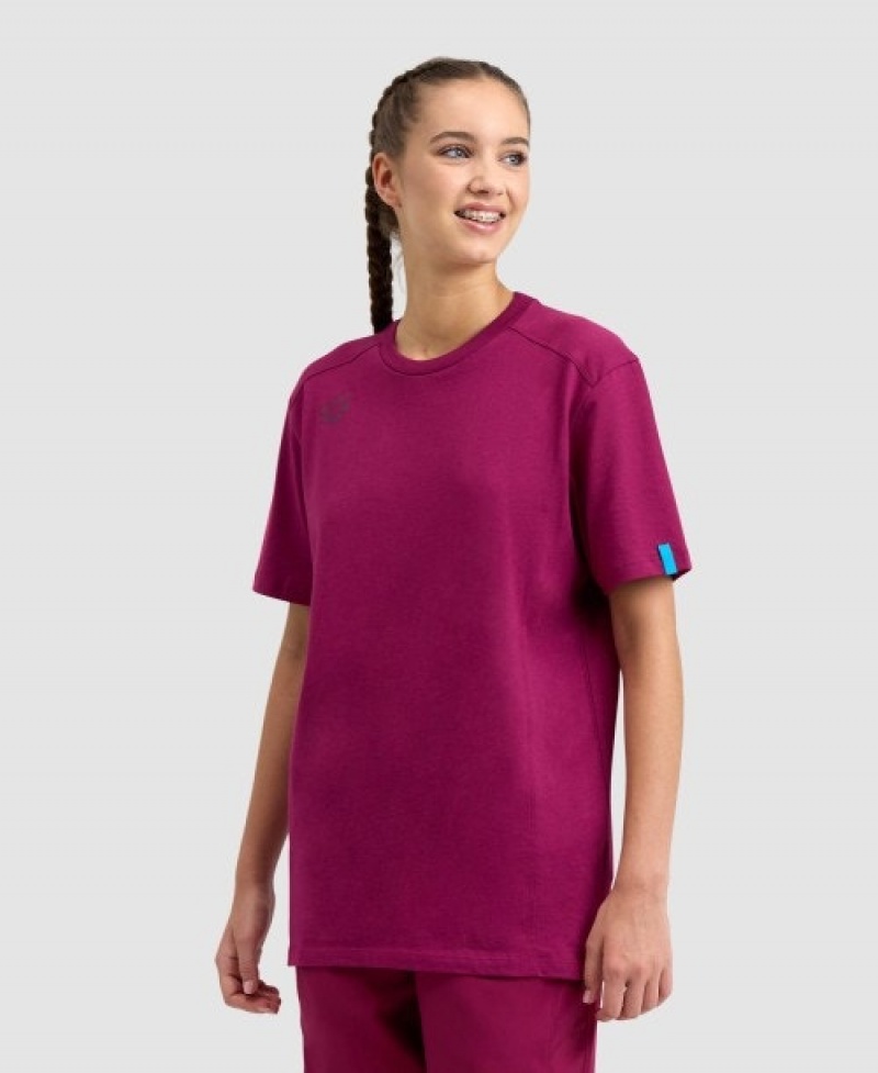 Purple Arena Team Panel Men's T Shirts | 81269903