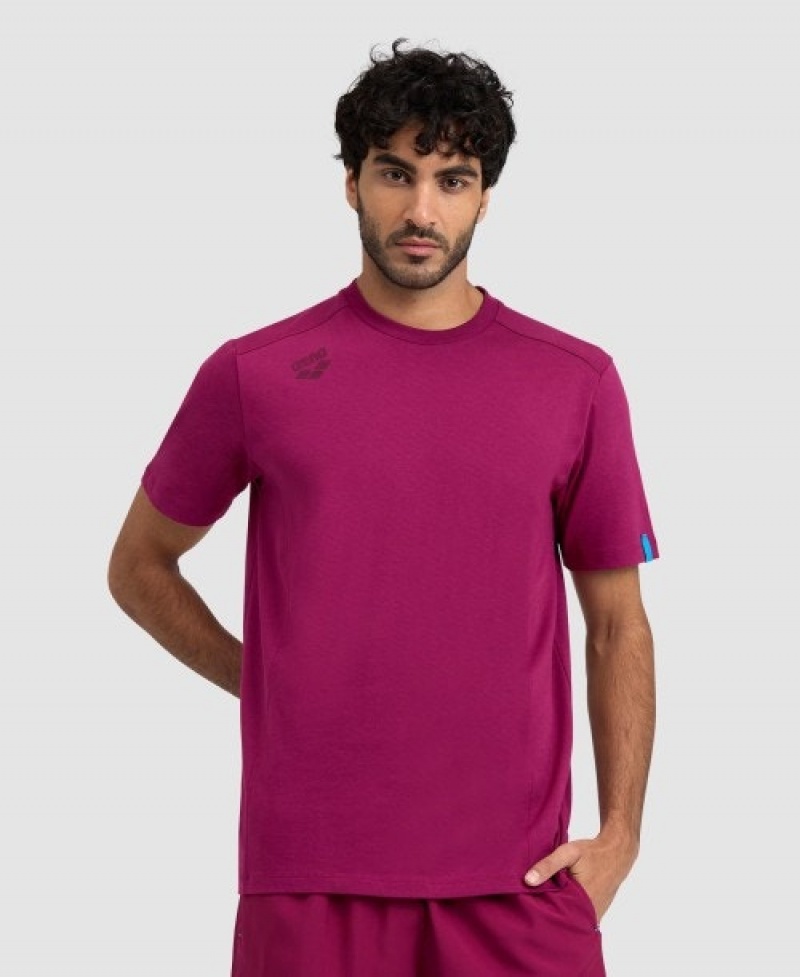 Purple Arena Team Panel Men's T Shirts | 81269903