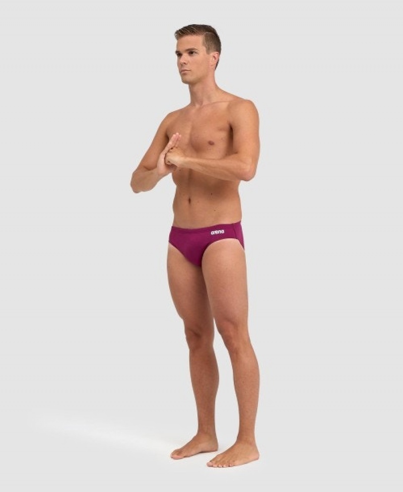 Purple Arena Team Solid Men's Briefs | 86803735