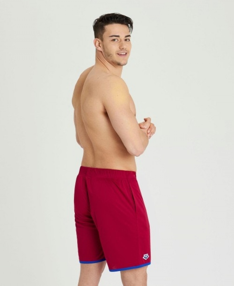 Red Arena Icons Beach Men's Shorts | 55614820