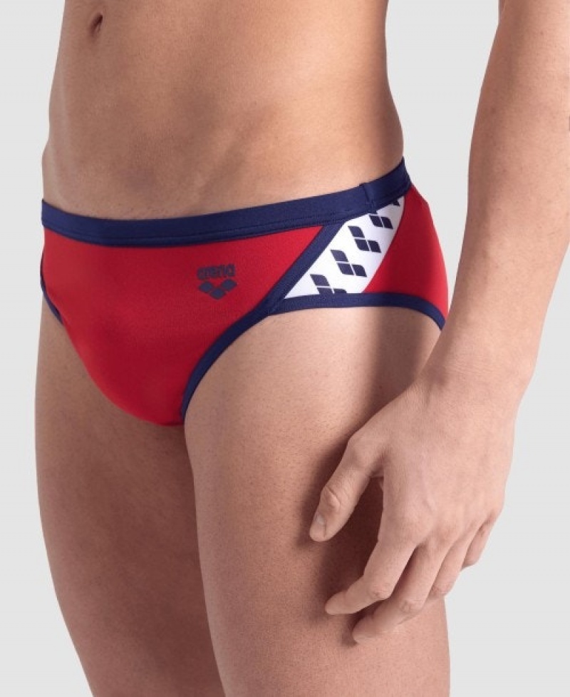 Red Arena Icons Men's Briefs | 10752860