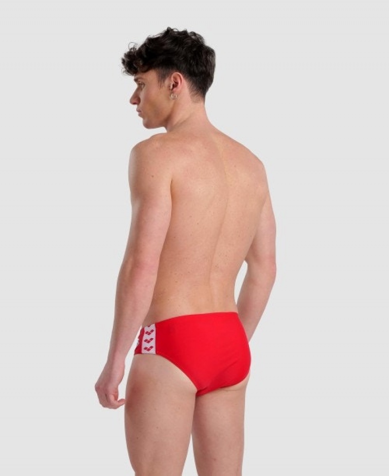 Red Arena Icons Men's Briefs | 42594289