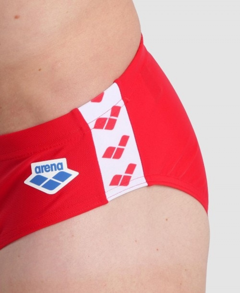 Red Arena Icons Men's Briefs | 42594289