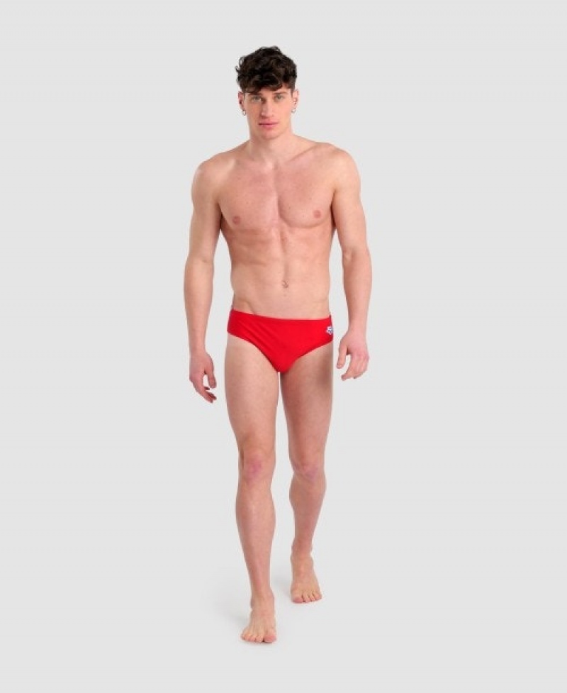 Red Arena Icons Men's Briefs | 42594289