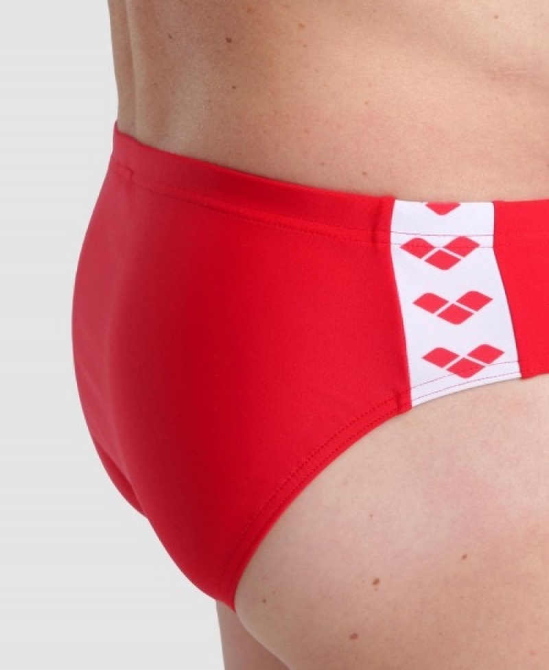 Red Arena Icons Men's Briefs | 42594289