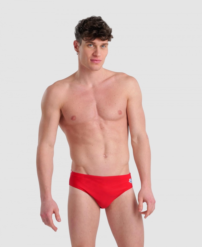 Red Arena Icons Men\'s Briefs | 42594289