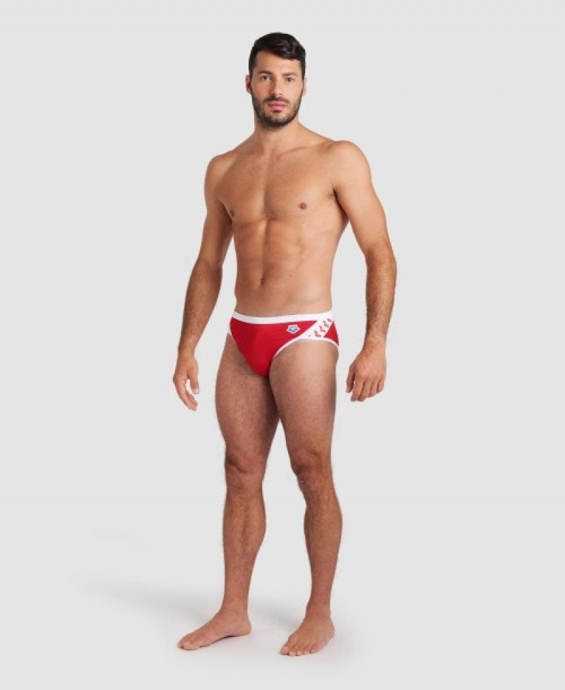 Red Arena Icons Men's Briefs | 60251511