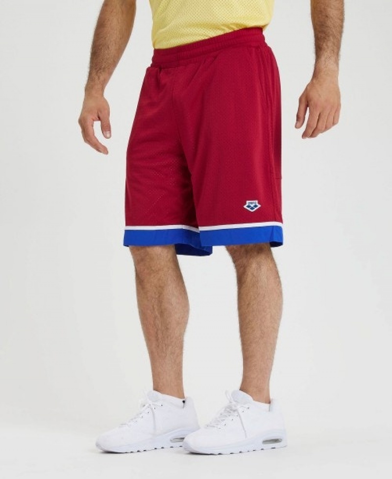 Red Arena Icons Reversible Men's Shorts | 91549701