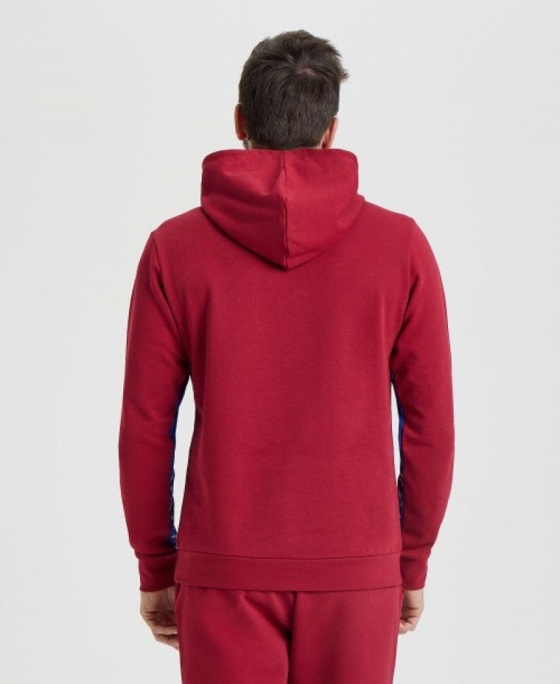 Red Arena Icons Solid Hooded Men's Sweatshirts | 3847720