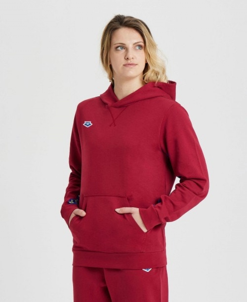 Red Arena Icons Solid Women's Hoodie | 52626951