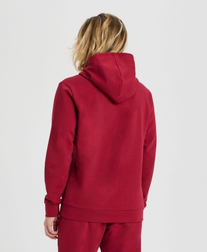 Red Arena Icons Solid Women's Hoodie | 52626951