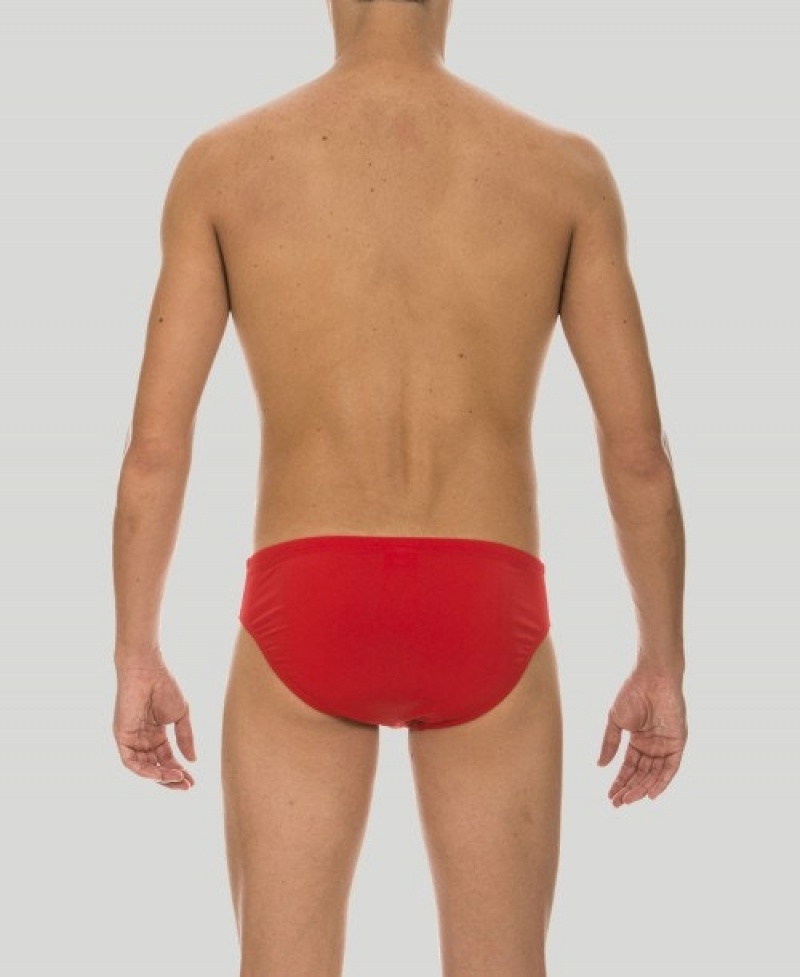 Red Arena Skys Men's Briefs | 3619465