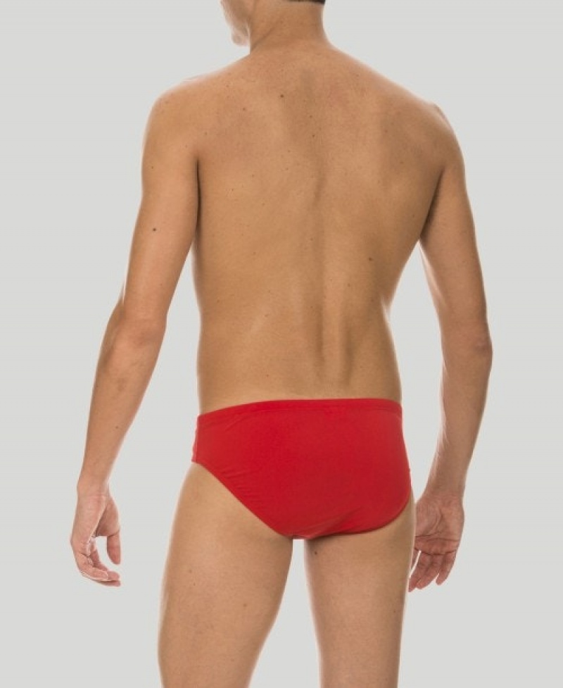 Red Arena Skys Men's Briefs | 3619465