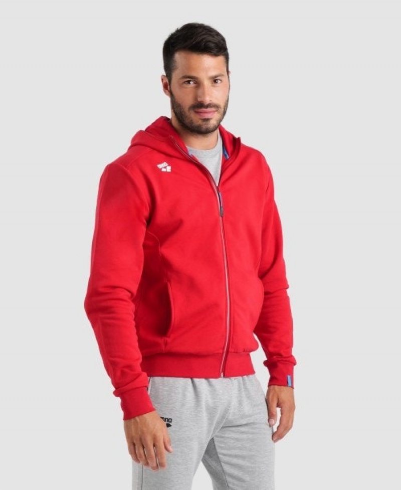 Red Arena Team Hooded Panel Men's Jackets | 48795243