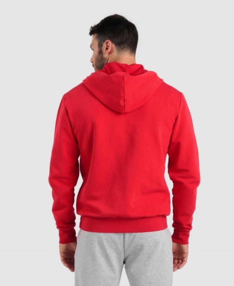 Red Arena Team Hooded Panel Men's Jackets | 48795243