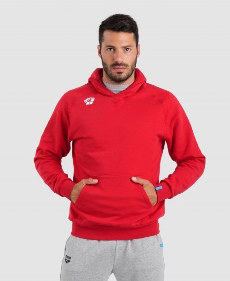 Red Arena Team Hooded Panel Men's Sweatshirts | 32170008