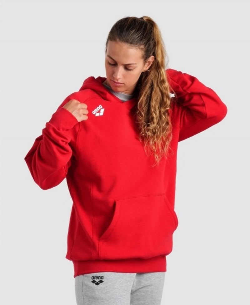 Red Arena Team Hooded Panel Men's Sweatshirts | 32170008