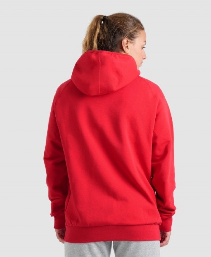 Red Arena Team Hooded Panel Men's Sweatshirts | 32170008