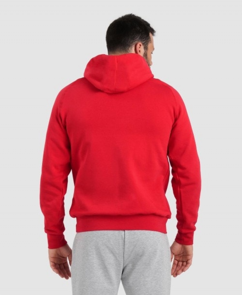 Red Arena Team Hooded Panel Men's Sweatshirts | 32170008