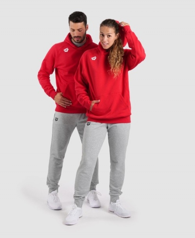 Red Arena Team Hooded Panel Men's Sweatshirts | 32170008