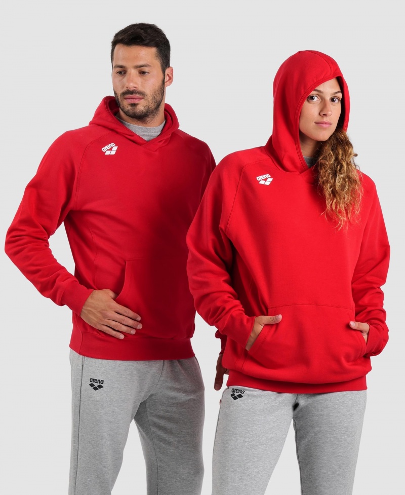 Red Arena Team Hooded Panel Men\'s Sweatshirts | 32170008