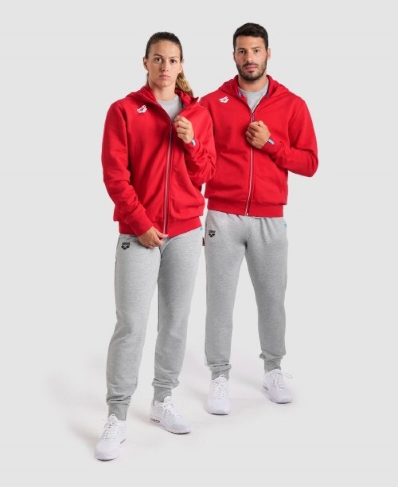 Red Arena Team Hooded Panel Women's Jackets | 21309568