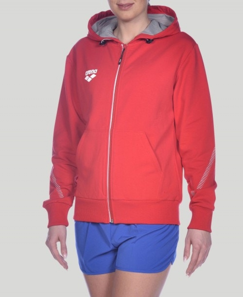 Red Arena Team Line Hooded Men's Jackets | 9678845