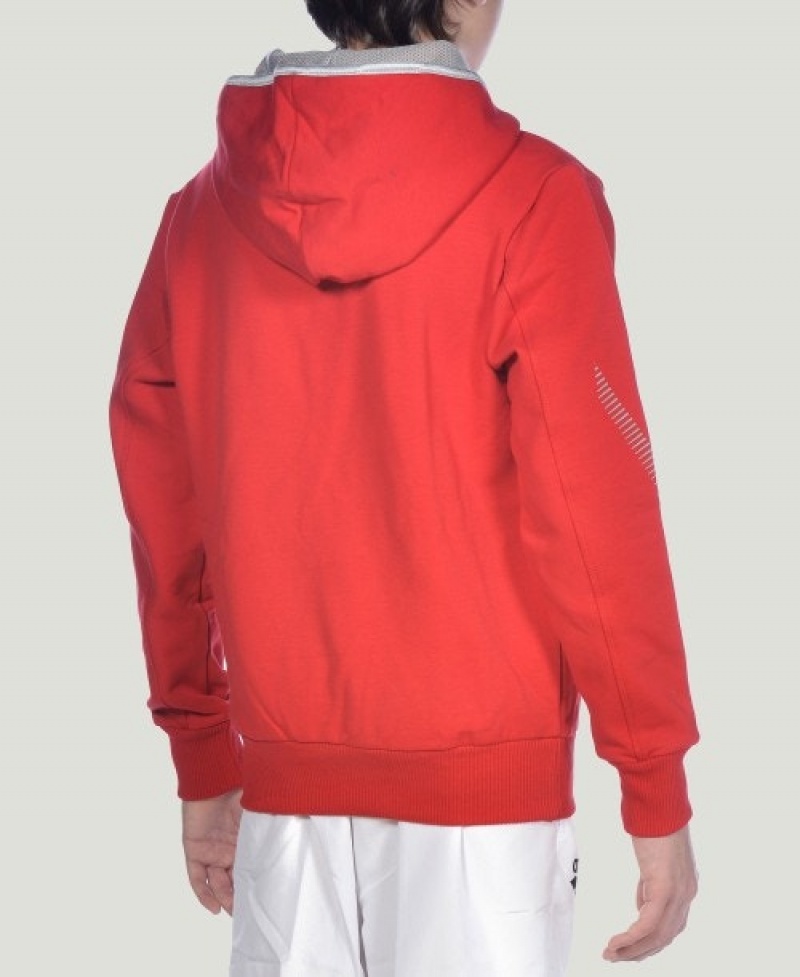 Red Arena Team Line L/S Boys' Hoodie | 60777347