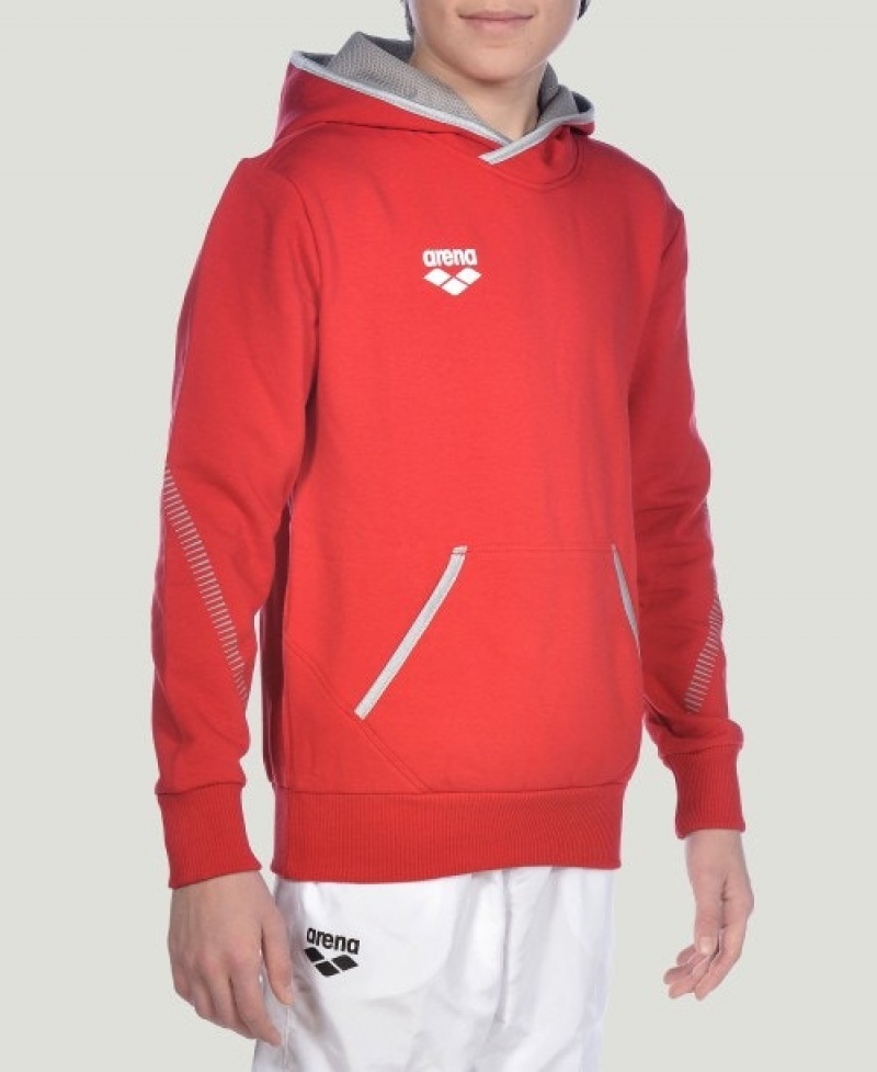 Red Arena Team Line L/S Boys' Hoodie | 60777347