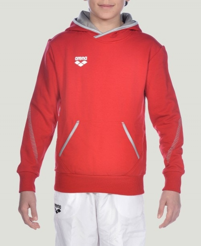 Red Arena Team Line L/S Boys' Hoodie | 60777347