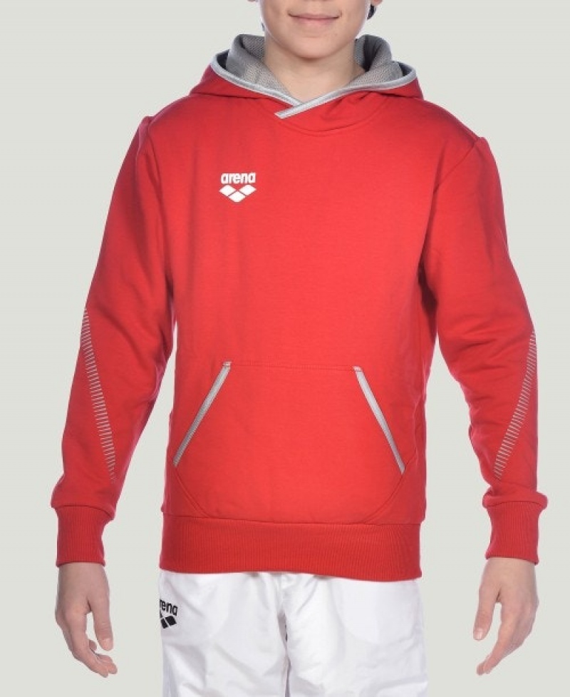 Red Arena Team Line L/S Boys' Hoodie | 60777347