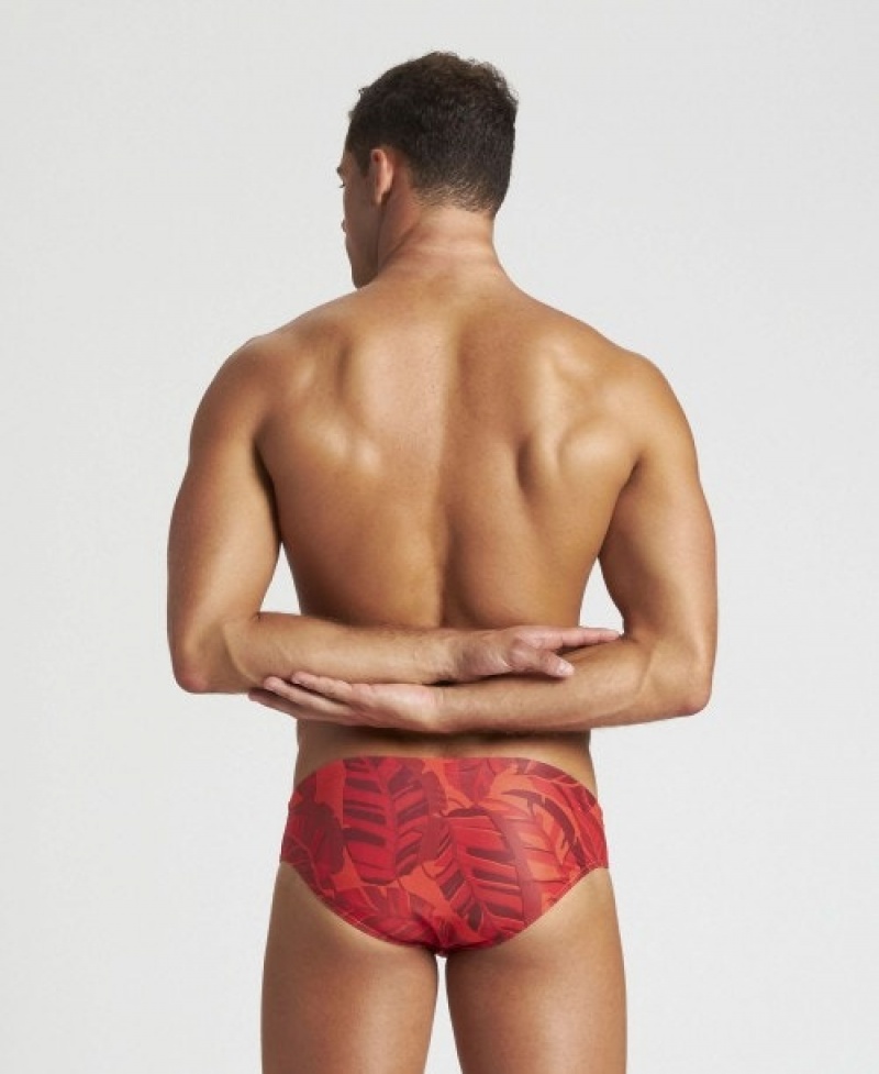 Red Arena Tropicals Men's Briefs | 7237803