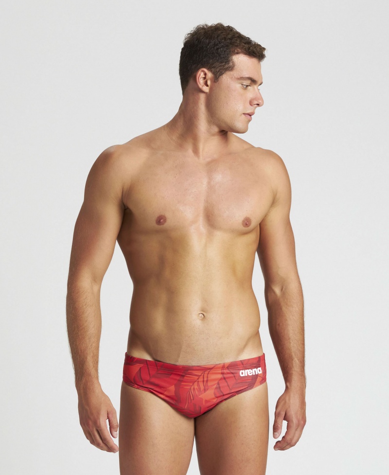 Red Arena Tropicals Men\'s Briefs | 7237803