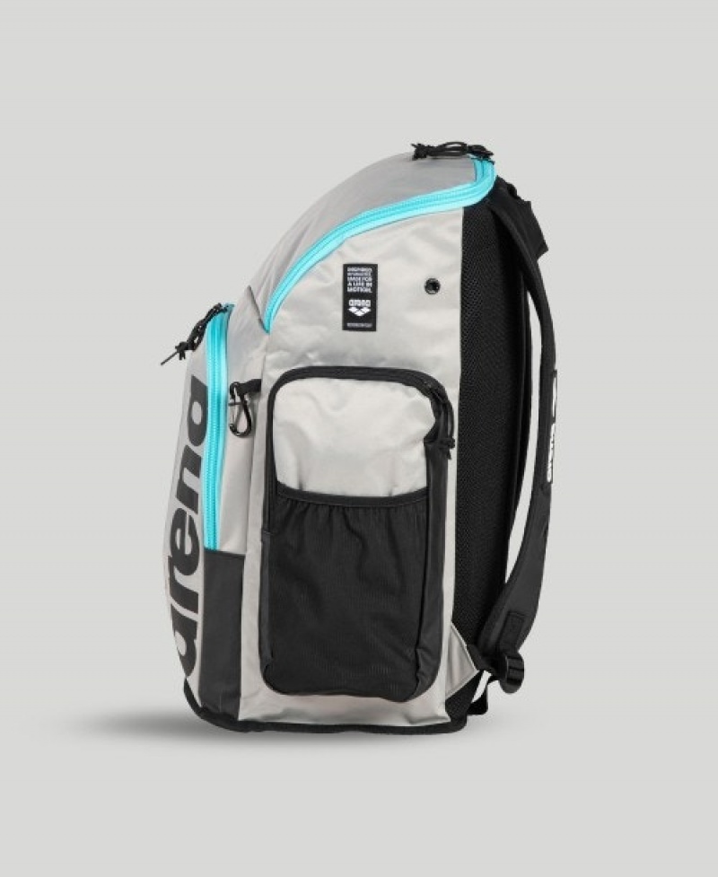 Silver Arena Spiky Iii 45 L Men's Backpacks | 31461498