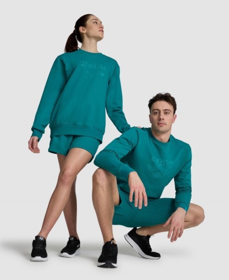 Turquoise Arena Logo Crewneck Men's Sweatshirts | 62745011