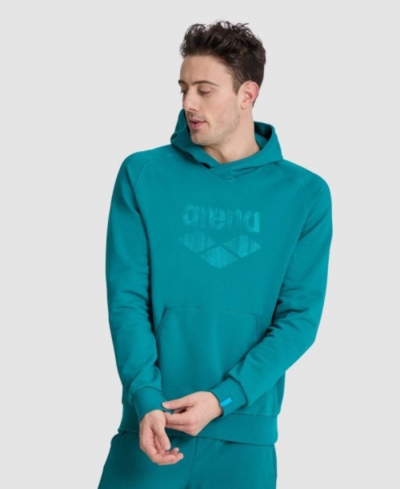 Turquoise Arena Logo Hooded Women's Sweatshirts | 39428896