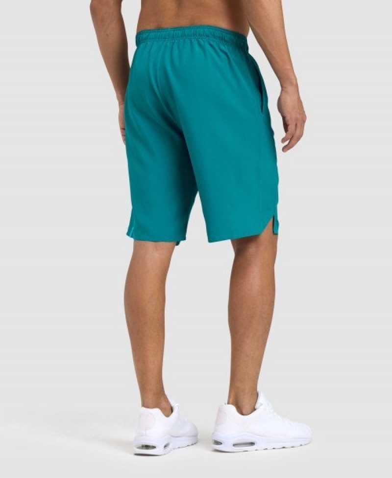 Turquoise Arena Team Men's Shorts | 28353157