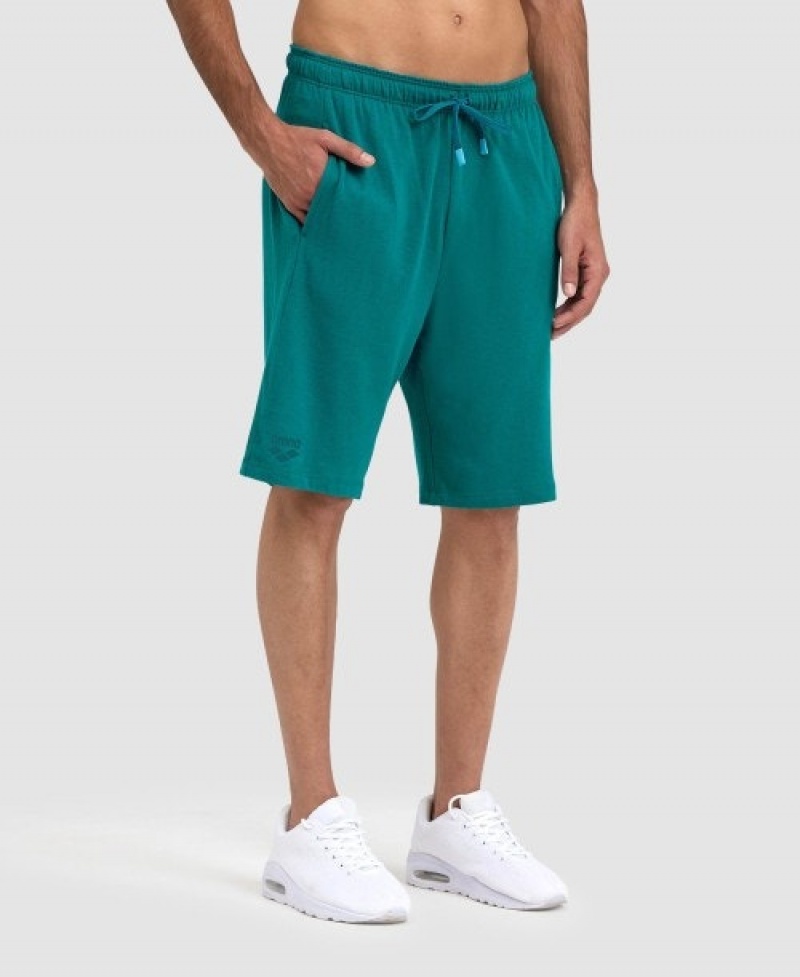 Turquoise Arena Team Solid Men's Shorts | 32353102